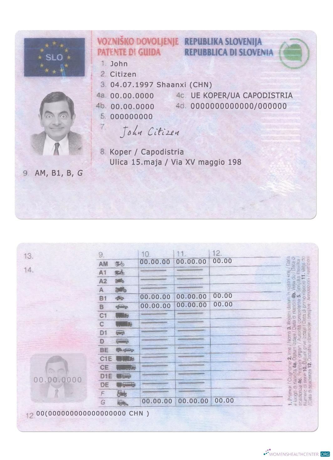 download Slovenia driving license